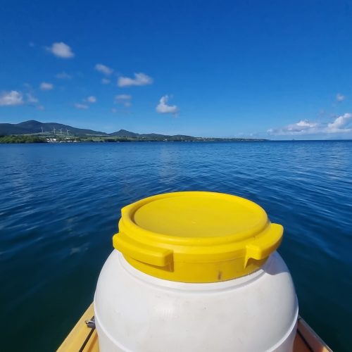 Balade en kayak sur le lagon du Grand Cul-de-Sac Marin en Guadeloupe