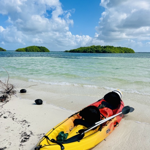 Excursion en kayak à l’îlet Blanc dans le Grand Cul-de-Sac Marin en Guadeloupe