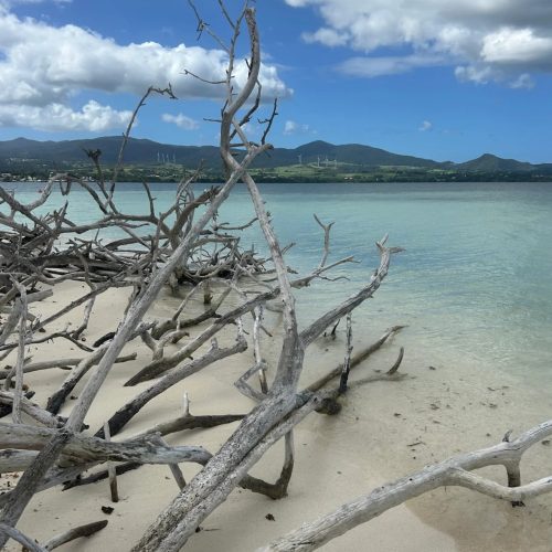 Paysage du Grand Cul-de-Sac Marin avec plage sauvage et eaux turquoise en Guadeloupe